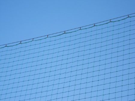 Bild für Kategorie Ballfangnetze