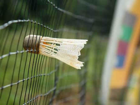 Bild für Kategorie Badminton