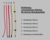 sync - 38e1e5a3-b0e2-46b1-bd90-f1cfd0f9db3a